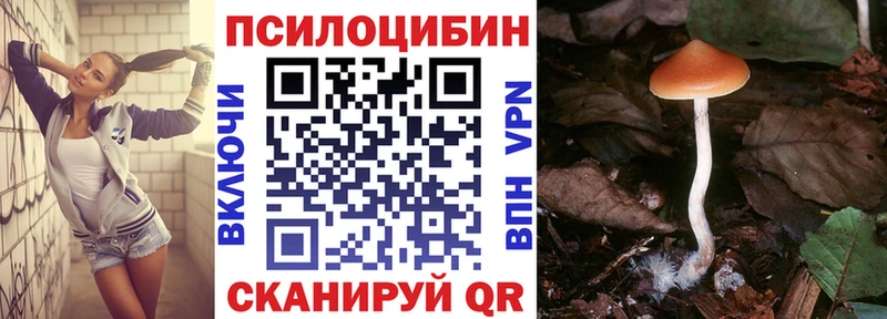 Галлюциногенные грибы Cubensis  Бокситогорск 