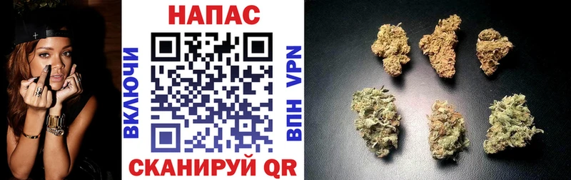 блэк спрут маркетплейс  что такое   Бокситогорск  Каннабис Bruce Banner 